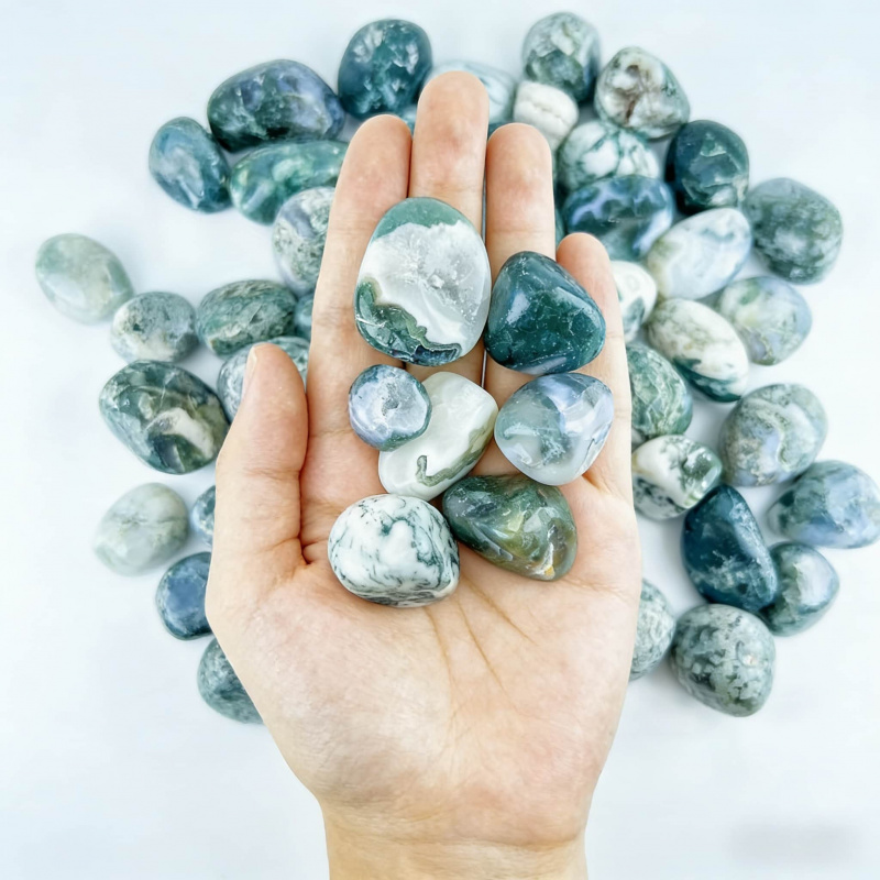 Natural Moss Agate Crushed Sto - Echeveria Succulent บทวิจารณ์และราคา