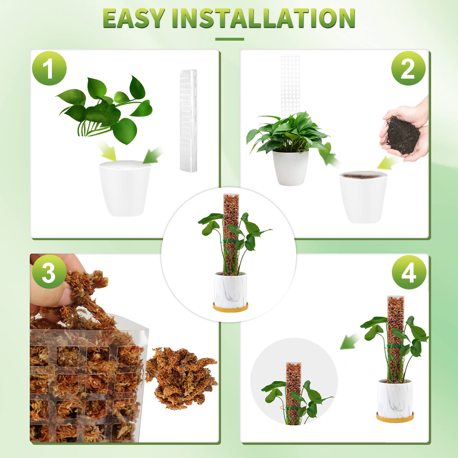 Moss Poles Plants Plant Suppor - Echeveria Succulent บทวิจารณ์และราคา
