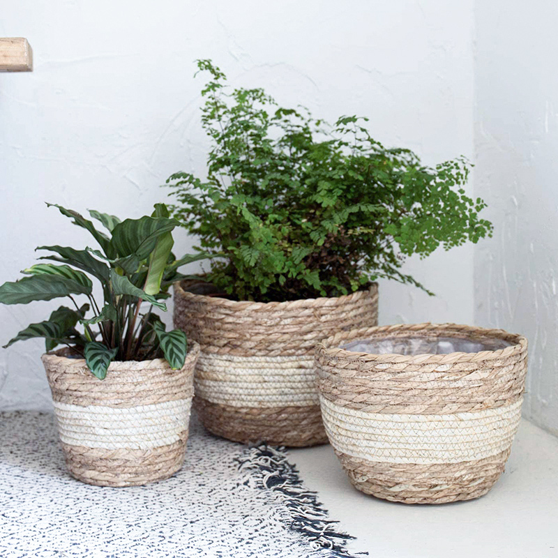 Seagrass Planter Basket Flower - Aloe Vera Pot บทวิจารณ์และราคา