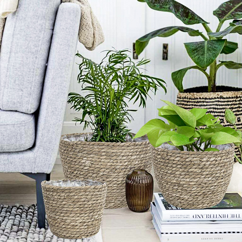 Seagrass Planter Basket Flower - Aloe Vera Pot บทวิจารณ์และราคา