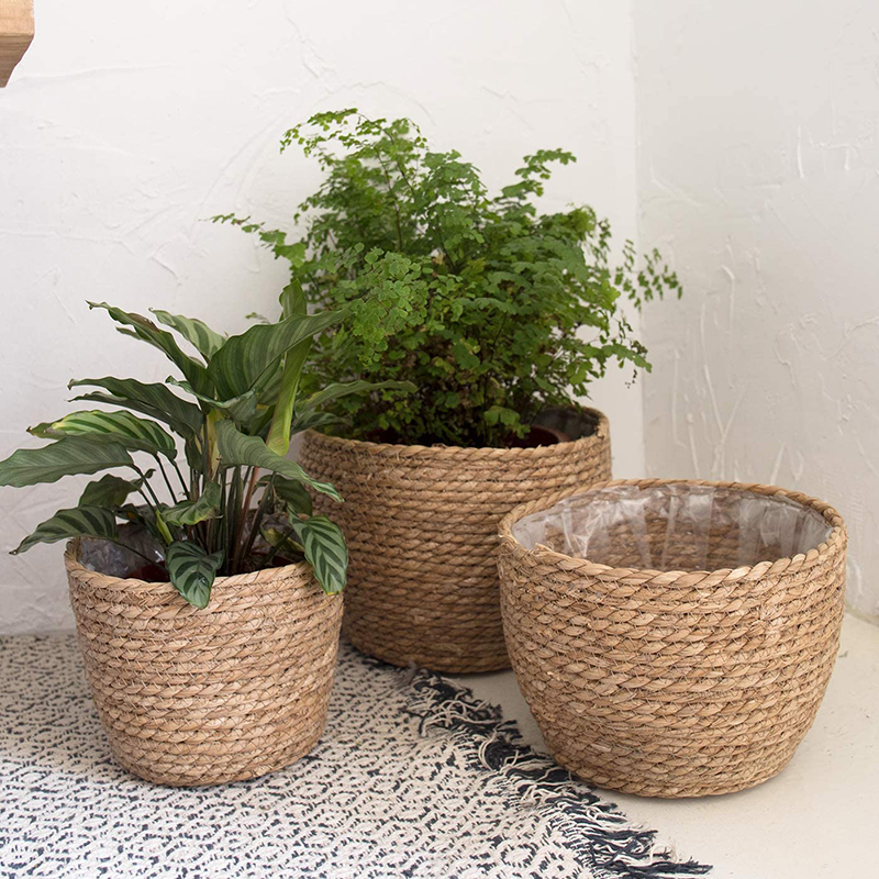 Seagrass Planter Basket Flower - Aloe Vera Pot บทวิจารณ์และราคา