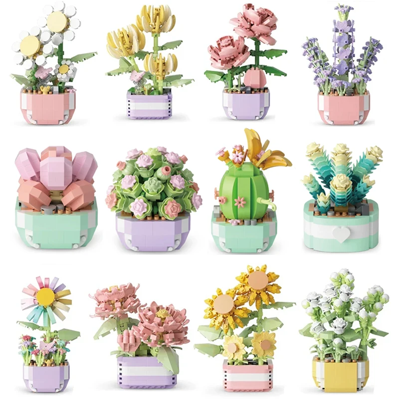 Flower Succulents Building Blo - Echeveria Succulent บทวิจารณ์และราคา