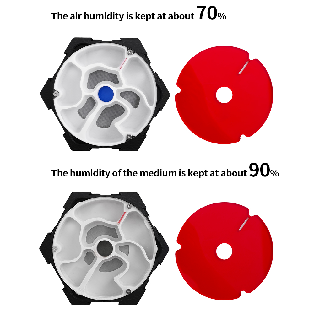 3D Printing Ant Farm Infinitel - Begonia Rex บทวิจารณ์และราคา