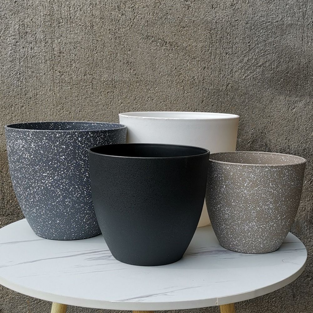 Frosted Imitation Stone Bonsai - Aloe Vera Pot บทวิจารณ์และราคา