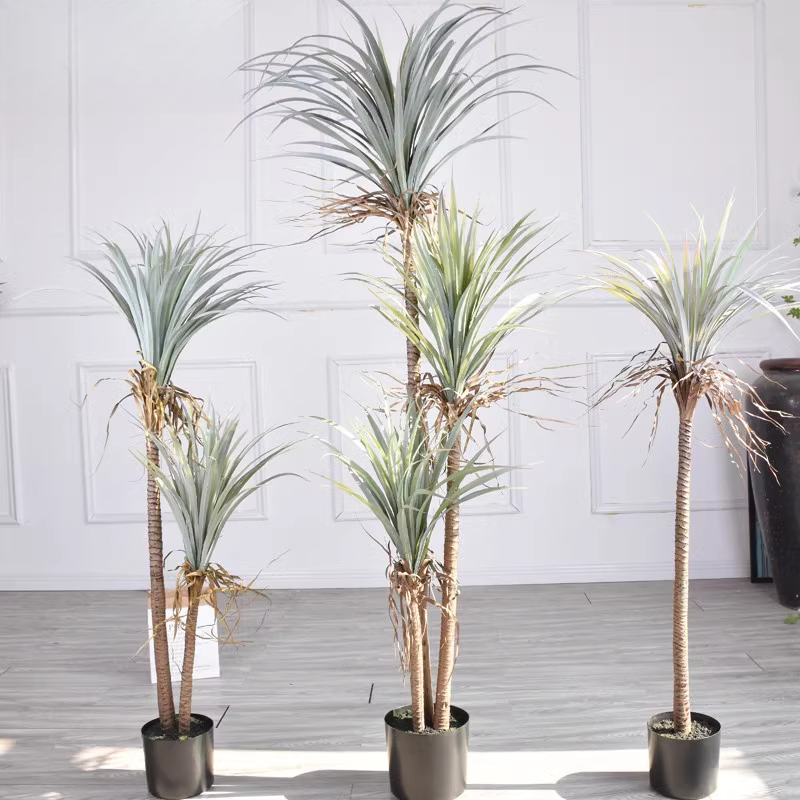 Dragon Blood Yucca Artificial  - Dracaena Marginata บทวิจารณ์และราคา