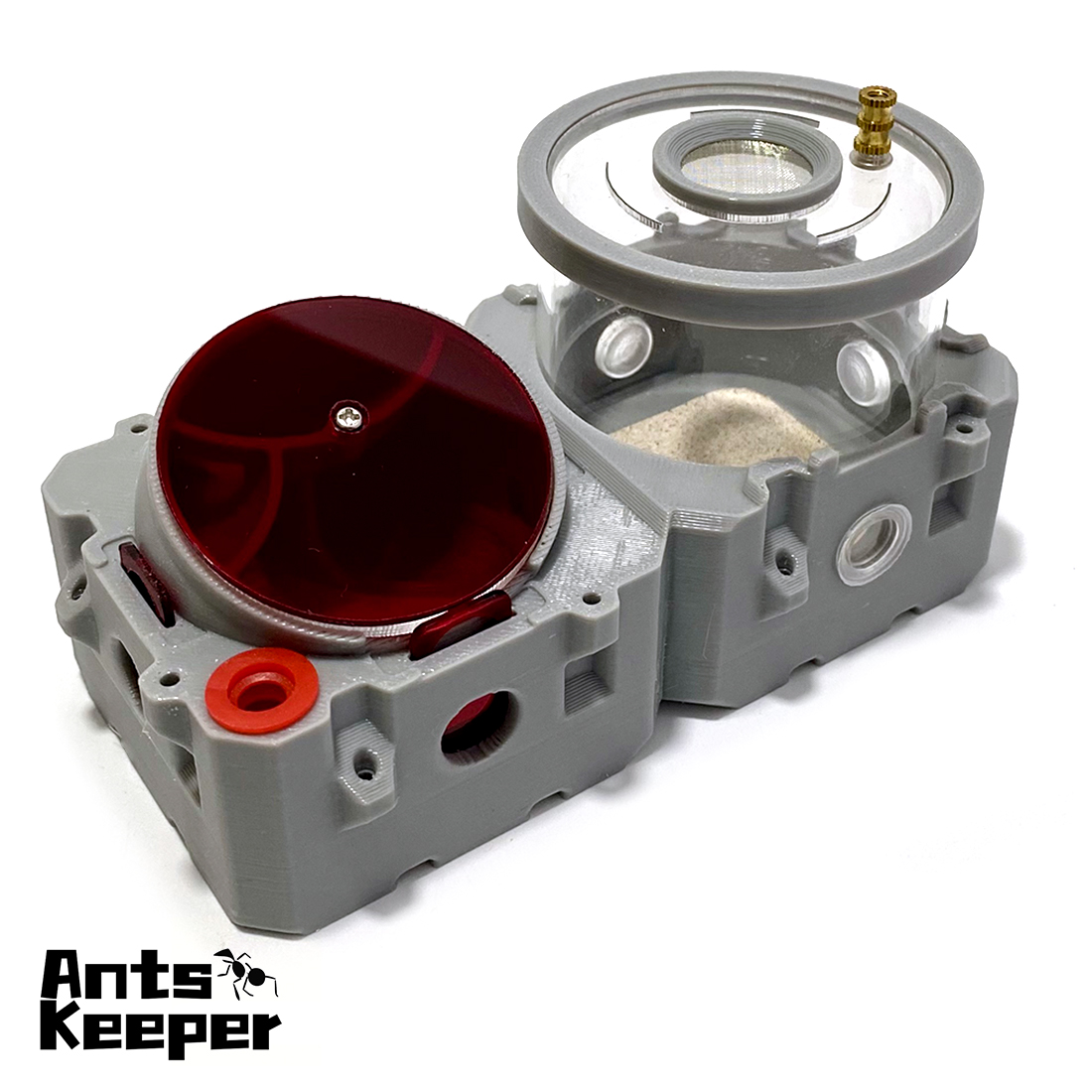 【Lego】Expandable Modular Formi - Begonia Rex บทวิจารณ์และราคา