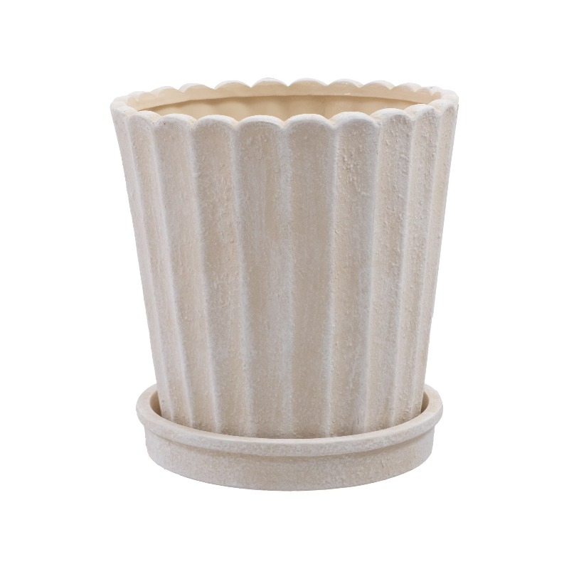 8 Inch Shell Planter Cream Cer - Aloe Vera Pot บทวิจารณ์และราคา