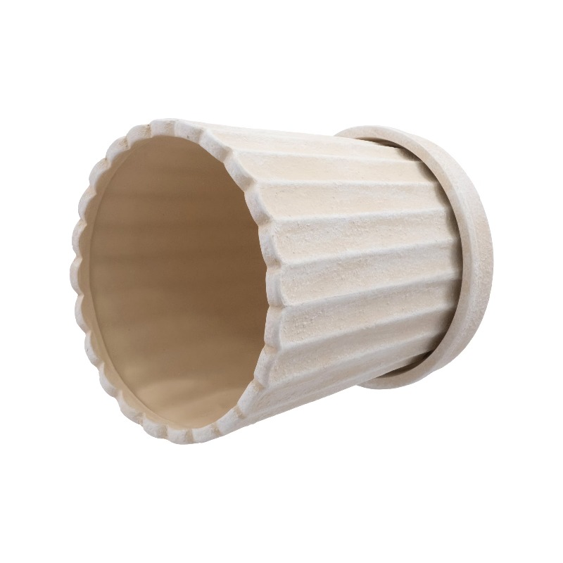 8 Inch Shell Planter Cream Cer - Aloe Vera Pot บทวิจารณ์และราคา