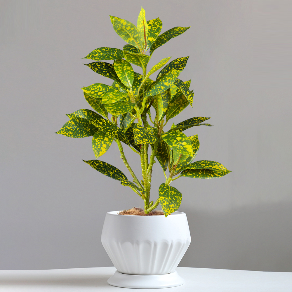 24-41cm Artificial Ficus Tree  - Ficus Lyrata Tree บทวิจารณ์และราคา