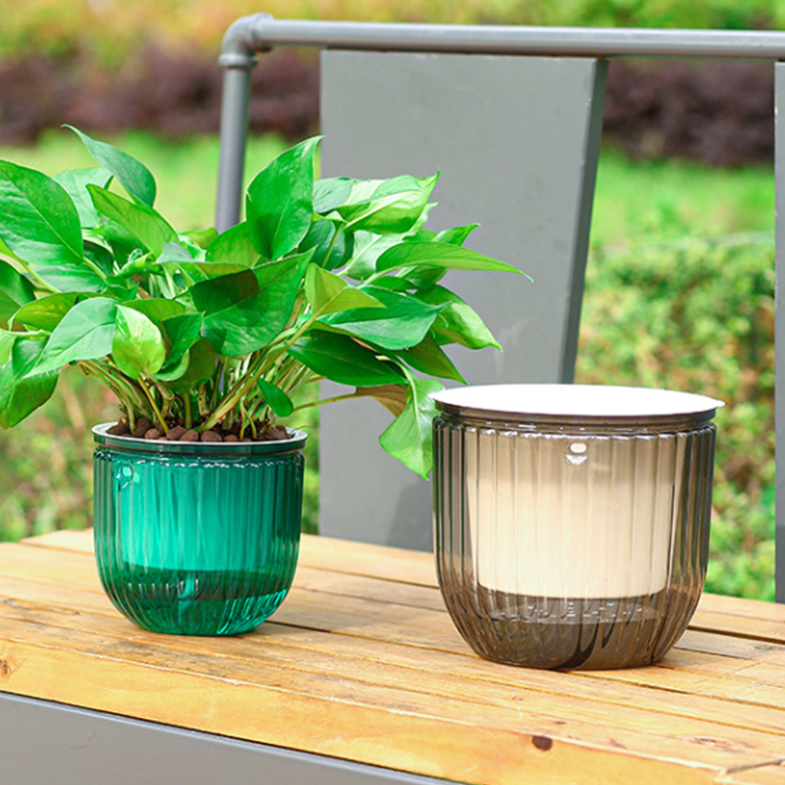 Automatic Self Watering Plant  - Spider Plant Hanging บทวิจารณ์และราคา