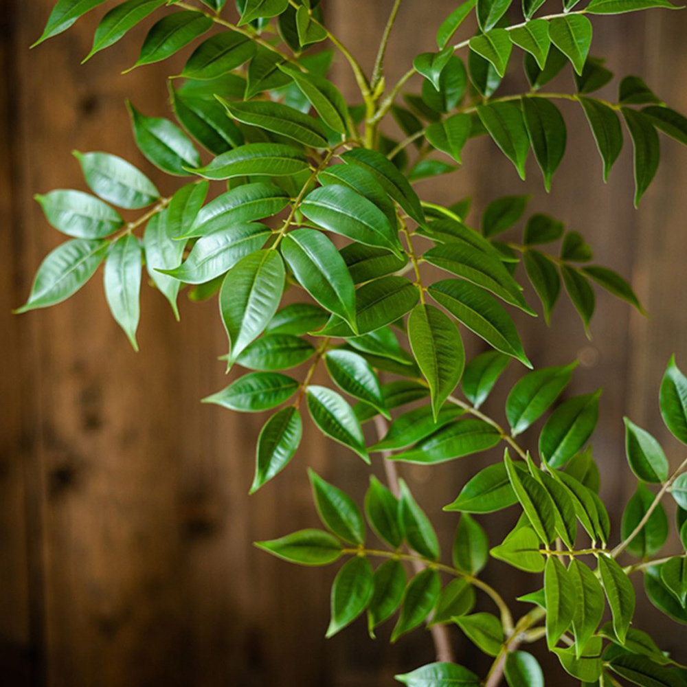 76-140cm Large Artificial Ficu - Ficus Lyrata Tree บทวิจารณ์และราคา