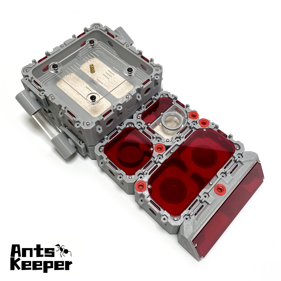 【Lego】Expandable Modular Formi - Begonia Rex บทวิจารณ์และราคา