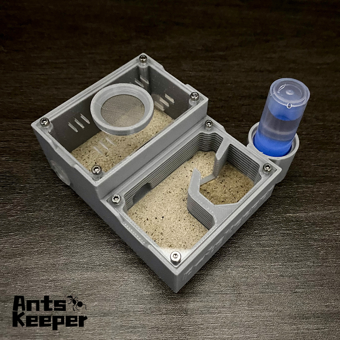 【One Section】Flat Ant Farm for - Begonia Rex บทวิจารณ์และราคา