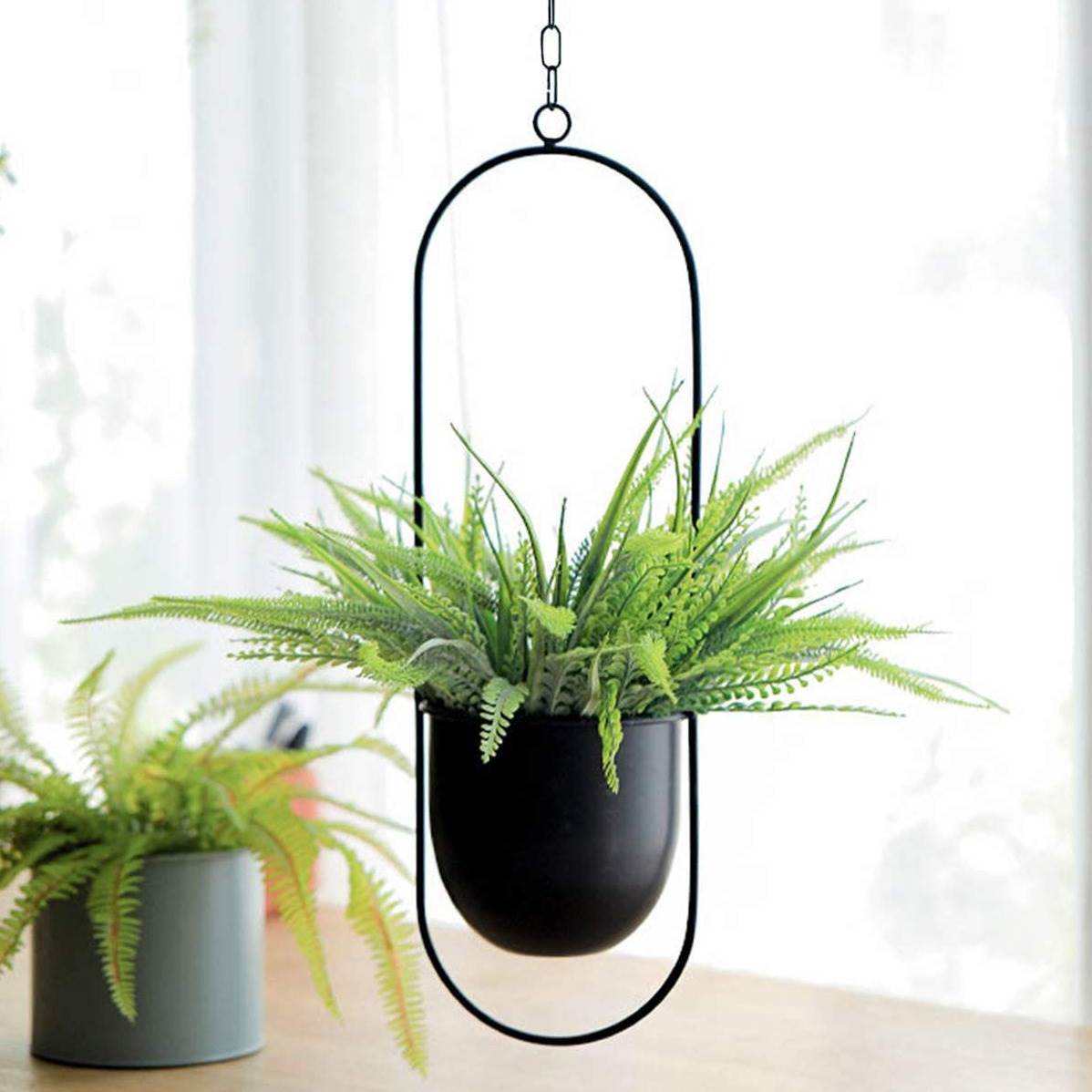 Hanging Iron Art Plant Pots Ba - Spider Plant Hanging บทวิจารณ์และราคา