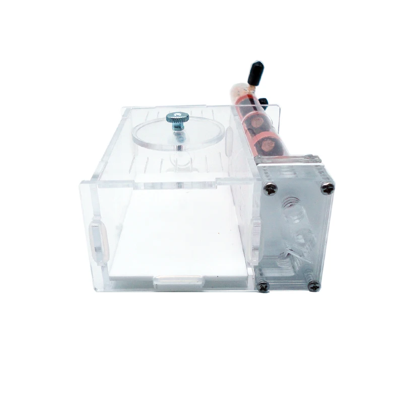 DIY Ant Farm 2 pcs 18-180mm Gy - Begonia Rex บทวิจารณ์และราคา