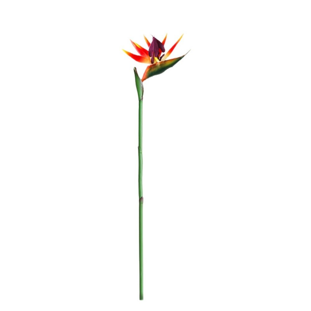 Long Stem Artificial Bird of P - Bird Paradise Strelitzia บทวิจารณ์และราคา