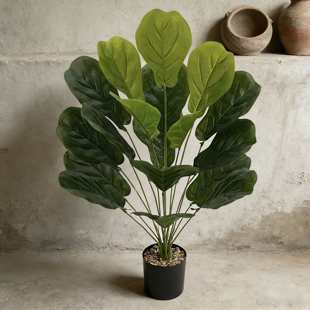 1pc of 75cm Artificial Ficus L - Ficus Lyrata Tree บทวิจารณ์และราคา