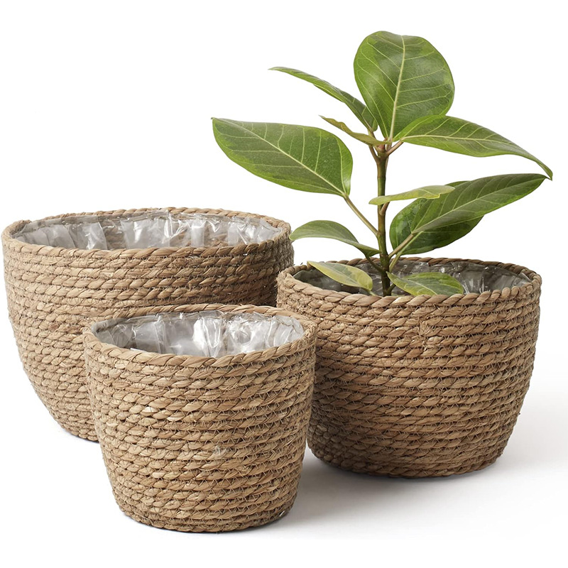 Natural Woven Flower Basket St - Aloe Vera Pot บทวิจารณ์และราคา