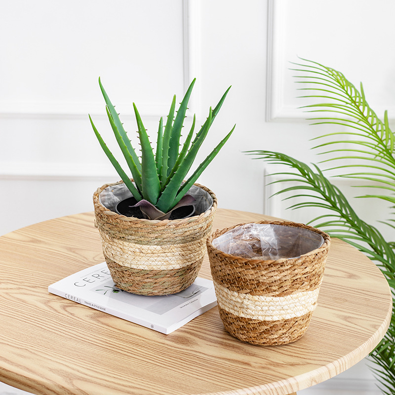 Natural Woven Flower Basket St - Aloe Vera Pot บทวิจารณ์และราคา