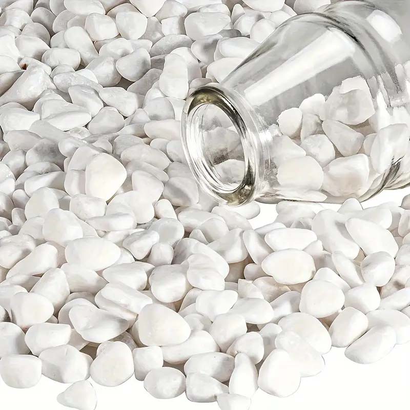 White Pebbles Decorative Stone - Echeveria Succulent บทวิจารณ์และราคา