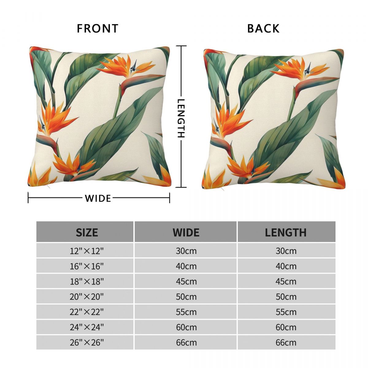 Bird Of Paradise Strelitzia Sq - Bird Paradise Strelitzia บทวิจารณ์และราคา