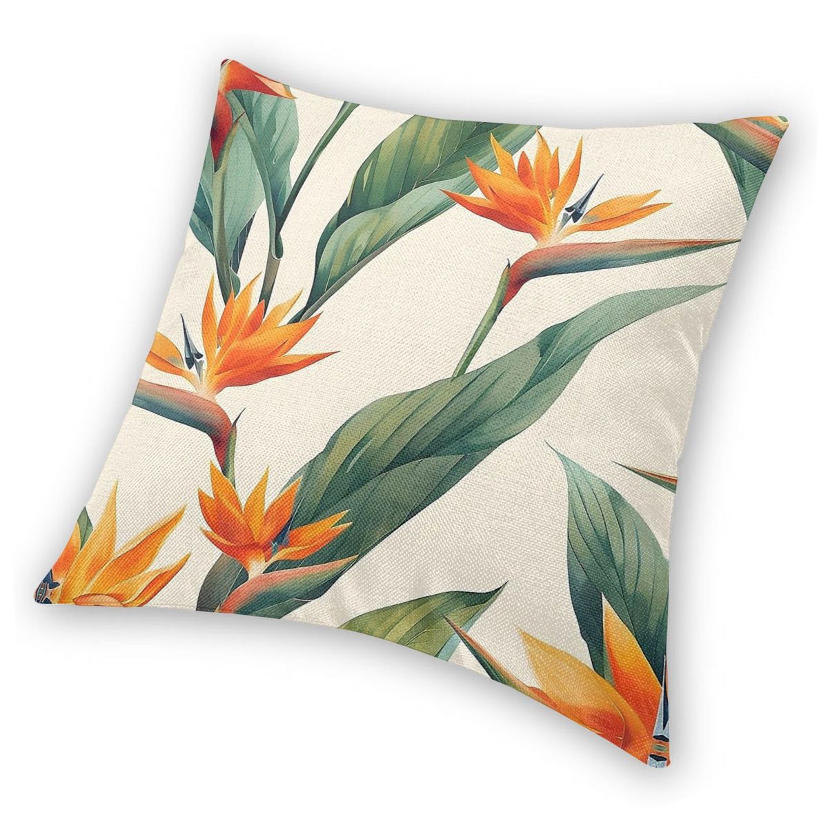 Bird Of Paradise Strelitzia Sq - Bird Paradise Strelitzia บทวิจารณ์และราคา