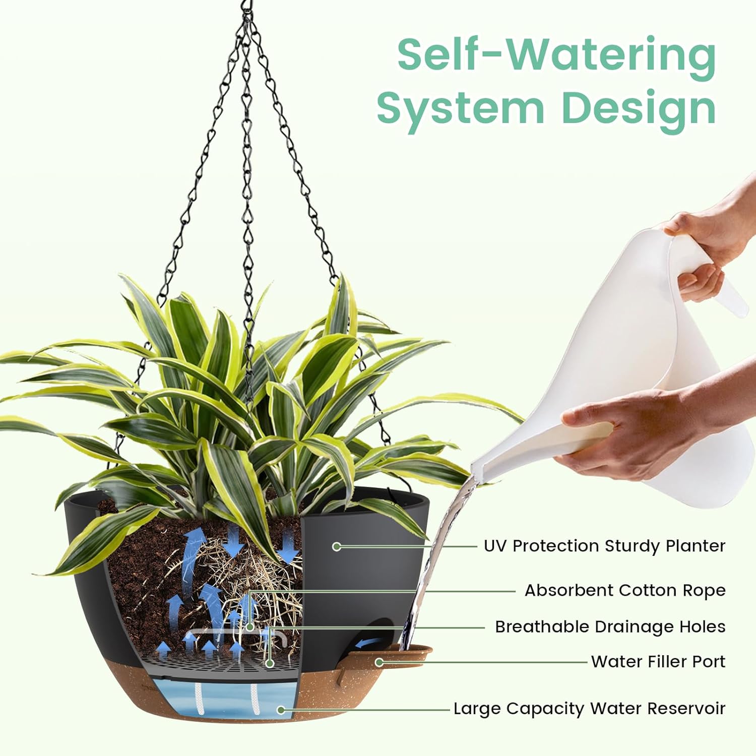 Self Watering Hanging Planters - Spider Plant Hanging บทวิจารณ์และราคา