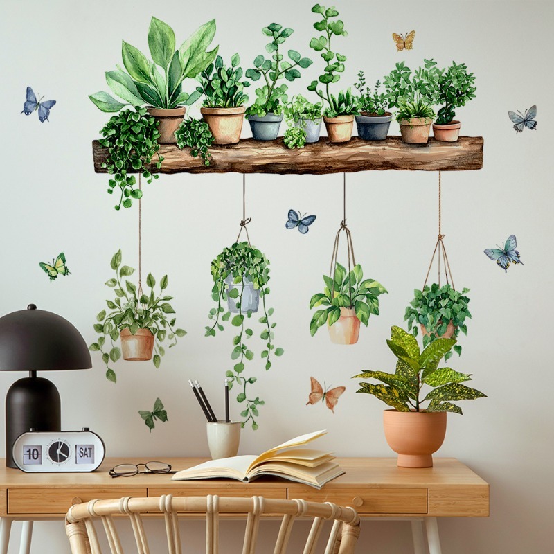 3D Potted Green Plant Shelf Wa - Echeveria Succulent บทวิจารณ์และราคา