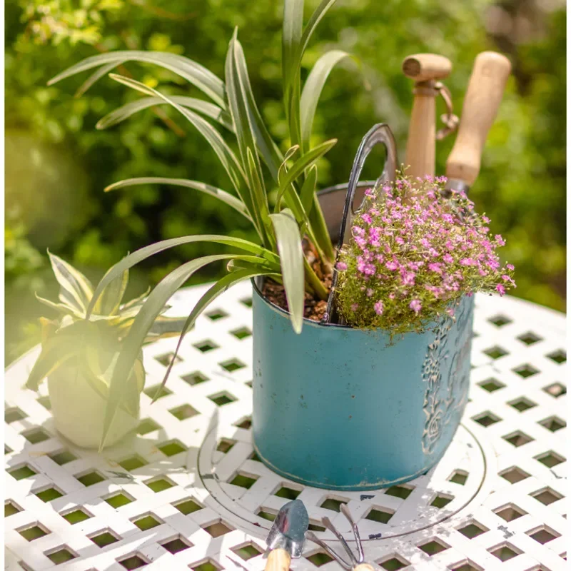 Blue Hanging Wall Planter Aged - Spider Plant Hanging บทวิจารณ์และราคา