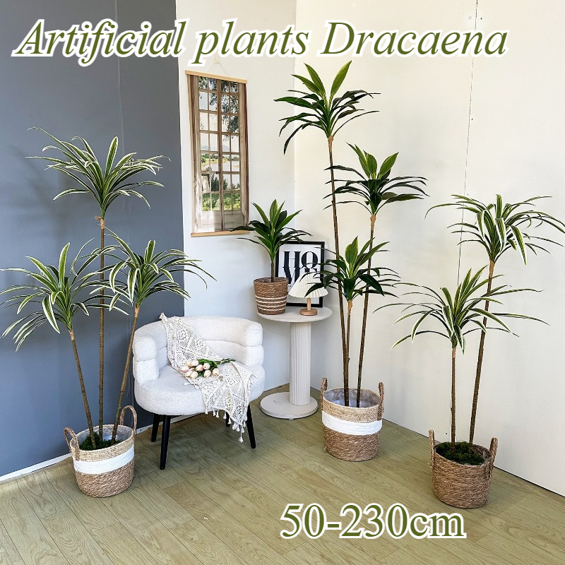 Artificial Dracaena Fake Plant - Dracaena Marginata บทวิจารณ์และราคา