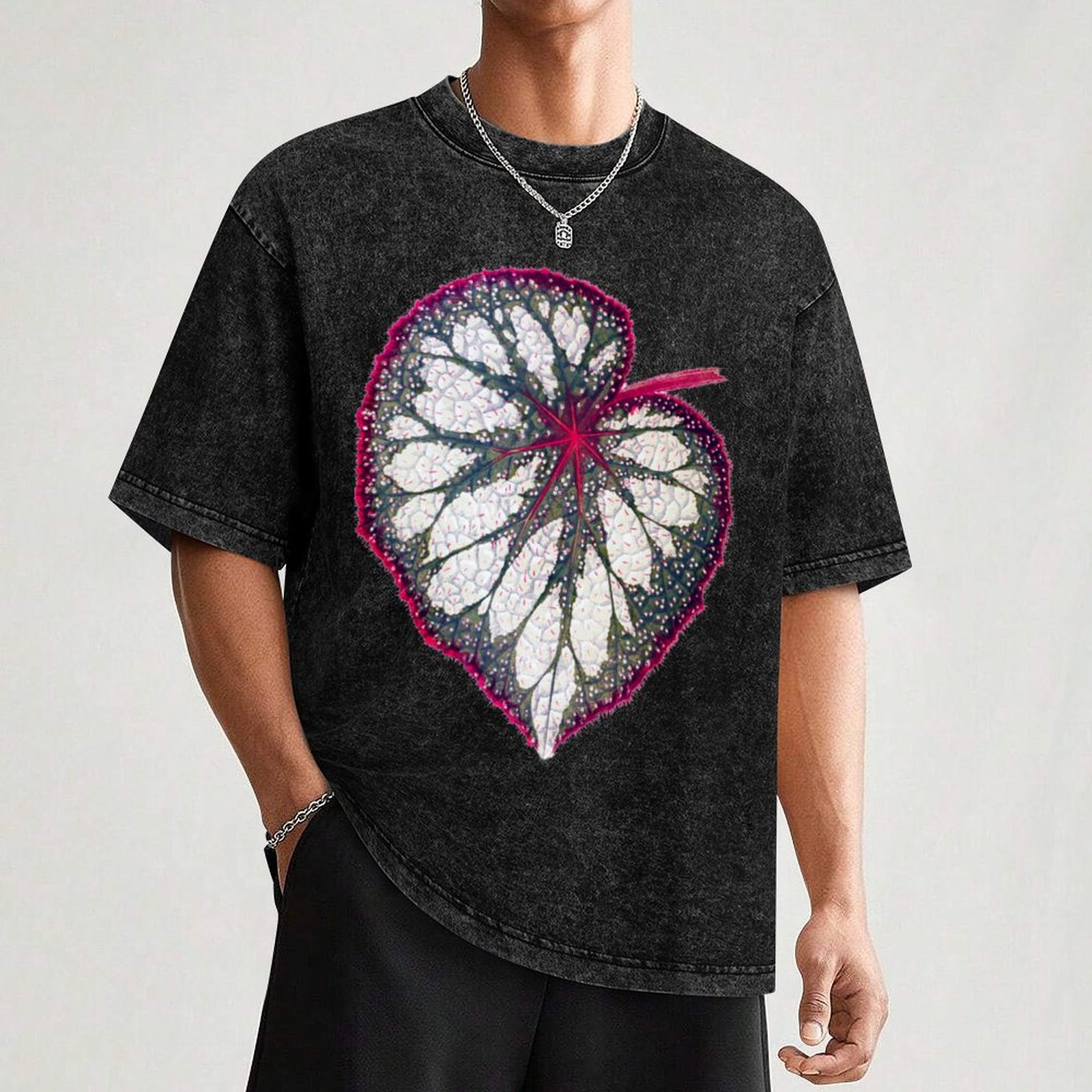 Begonia rex T-Shirt Holiday Si - Begonia Rex บทวิจารณ์และราคา