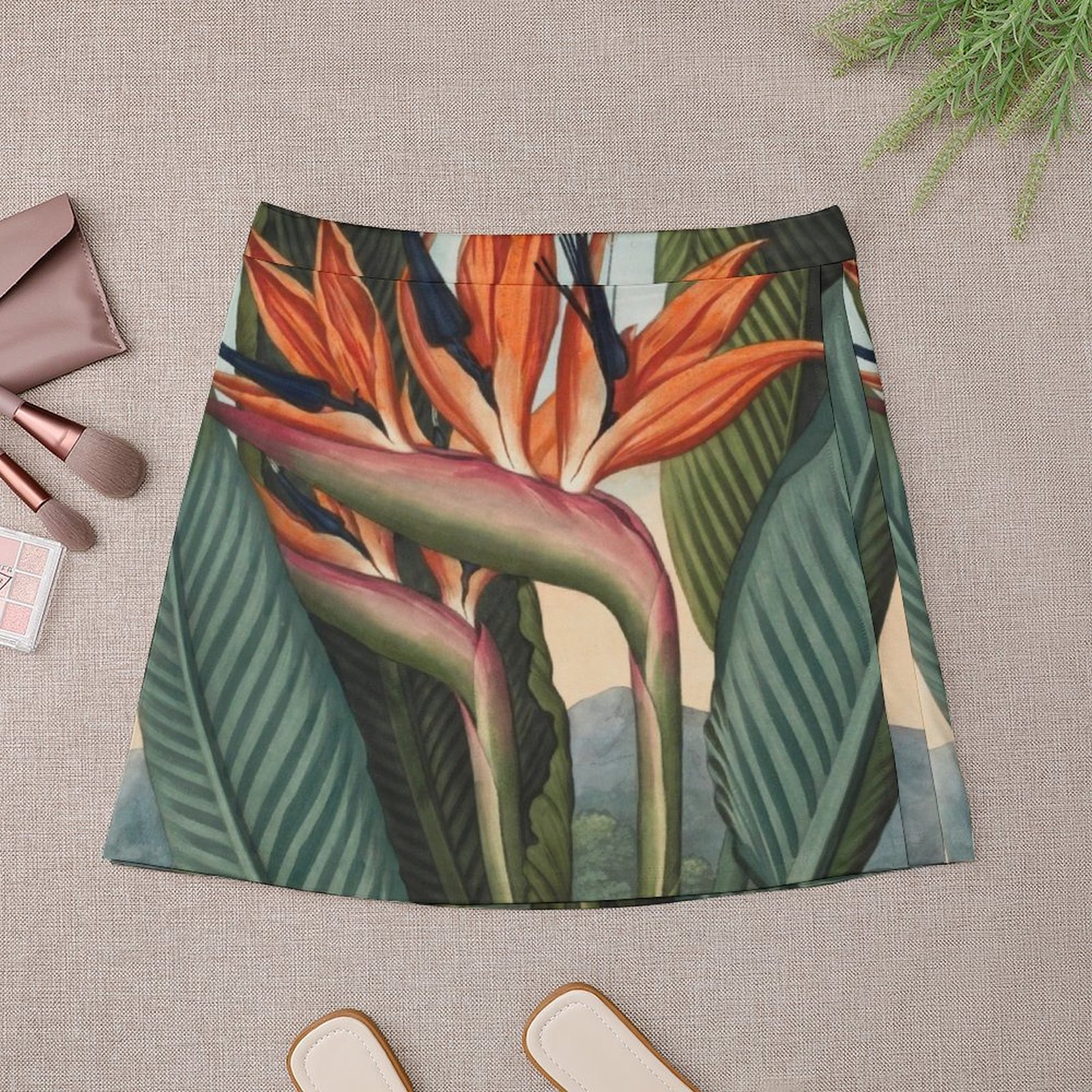 Botanical illustration: Bird o - Bird Paradise Strelitzia บทวิจารณ์และราคา