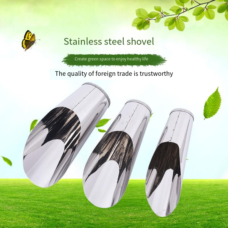Stainless Steel Bucket Shovel  - Echeveria Succulent บทวิจารณ์และราคา