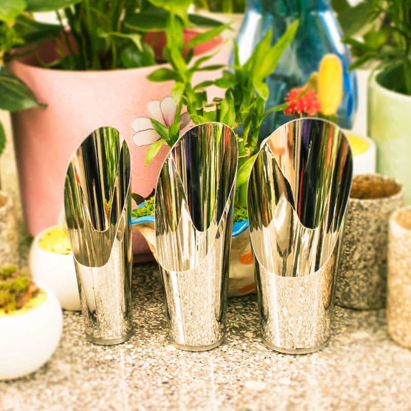 Stainless Steel Bucket Shovel  - Echeveria Succulent บทวิจารณ์และราคา