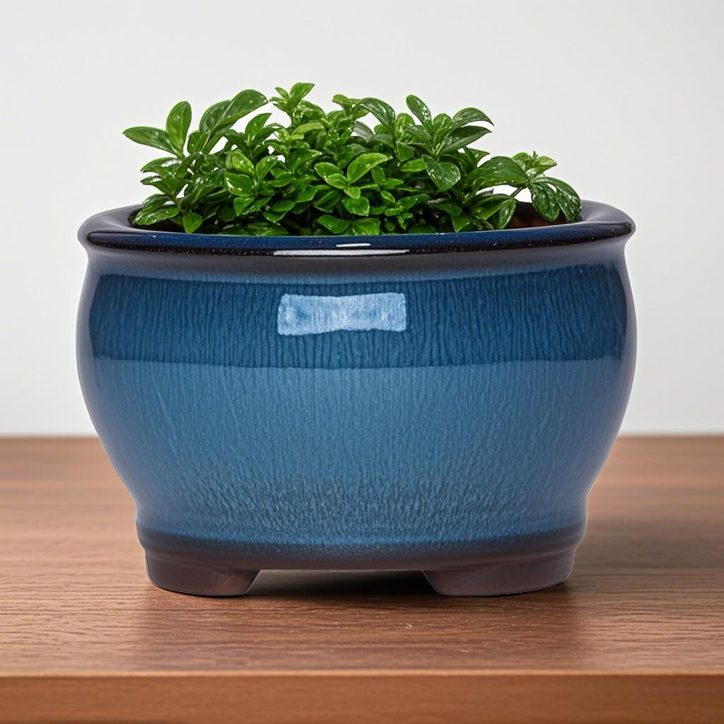 Ceramic Garden Planter Pots Ce - Aloe Vera Pot บทวิจารณ์และราคา