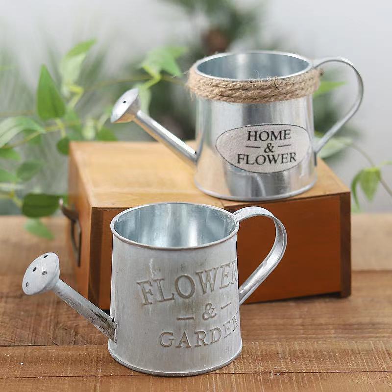 Barrels Garden Decoration Tin  - Aloe Vera Pot บทวิจารณ์และราคา
