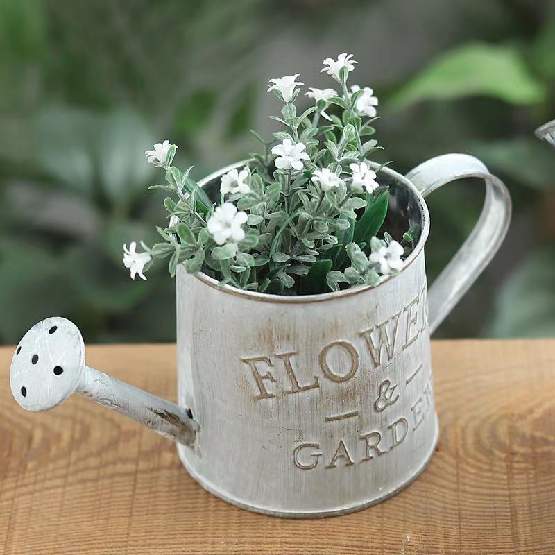 Barrels Garden Decoration Tin  - Aloe Vera Pot บทวิจารณ์และราคา