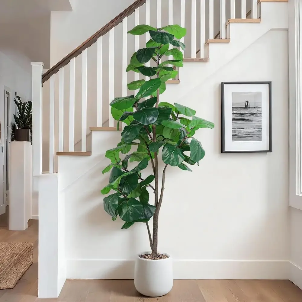Artificial Large Ficus Lyrata  - Ficus Lyrata Tree บทวิจารณ์และราคา