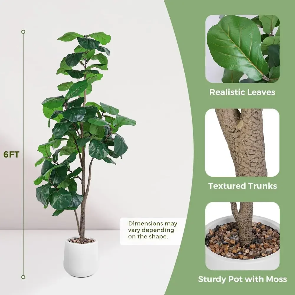 Artificial Large Ficus Lyrata  - Ficus Lyrata Tree บทวิจารณ์และราคา