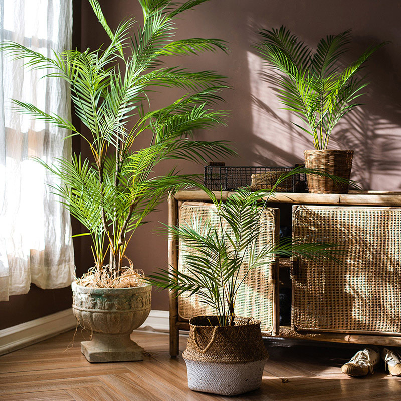 125cm Large Artificial Palm Tr - Dracaena Marginata บทวิจารณ์และราคา