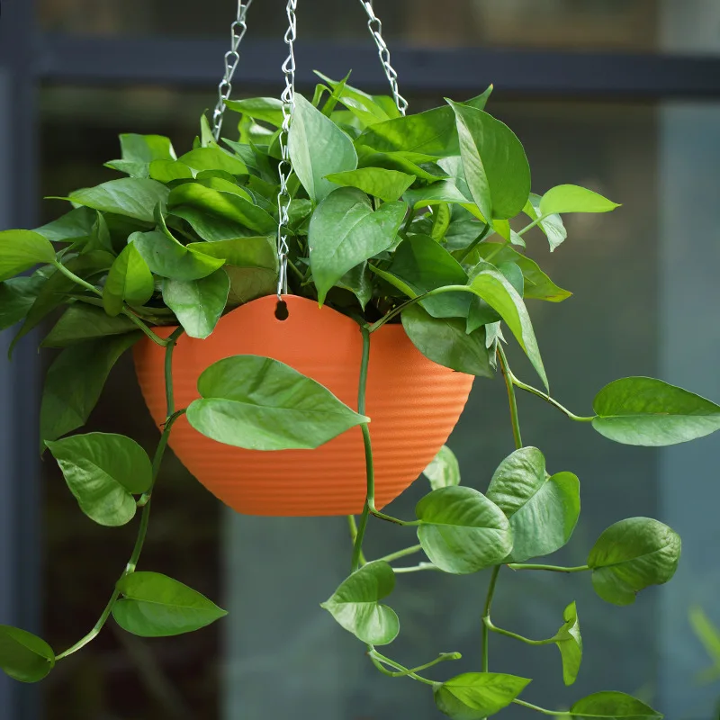 Plastic hanging basket flower  - Spider Plant Hanging บทวิจารณ์และราคา